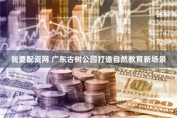 我要配资网 广东古树公园打造自然教育新场景